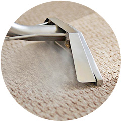 Carpet Cleaning Services