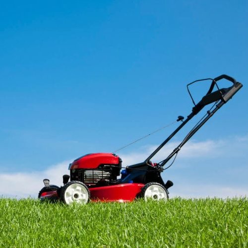 Lawn Mowing Service Narangba