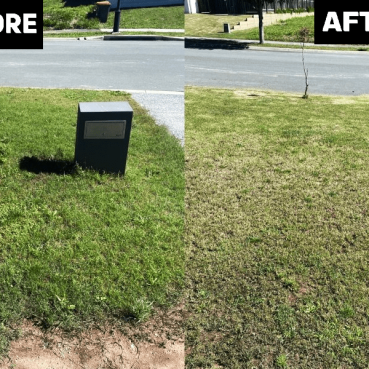 Lawn Mowing