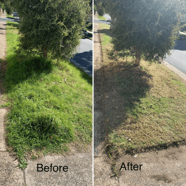 Lawn Mowing